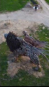 Il Leone di Vaia 🦁🌲 | Il gigante di legno nato dalla tempesta (UNESCO Veneto)