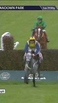 Keep Running - the well-named racehorse 🤣 #horse #horseracing #racingtv #sport