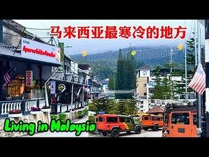 88) The Coldest Place in Malaysia 🇲🇾 Retire in Malaysia 退休后_马来西亚退休生活 Living in Malaysia