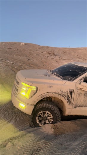 Exploring the Life of a Lobo: A POV View