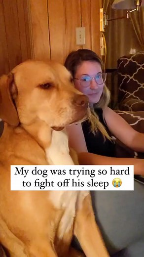 Adorable Dog Compilation - Watch Now!