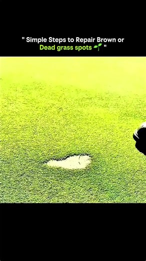 KNOWLEDGE ILLUSION AND MATRIX on Instagram: "Revive Your Lawn: Fix Brown & Dead Grass Spots 🌱✨ Brown patches in your lawn can be frustrating, but with simple steps, you can bring your grass back to life! First, identify the cause—pet urine, pests, disease, or drought could be to blame. Removing dead grass and debris is key, giving your lawn a fresh start. Next, loosen the soil with a rake or fork to help new seeds make good contact. Adding nutrient-rich topsoil can boost growth in worn-out spot