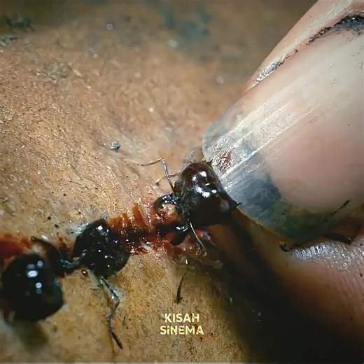 movie edits ActionScenes Epic Moment Viral video For you page Fyp