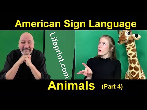 Animal Signs (04) American Sign Language (ASL) Bill Vicars with Cäsar Jacobson (Lifeprint.com)