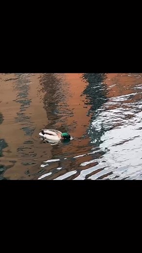 Do you have a clear intention or you moving aimlessly throughout your day?. In order to create something we want it's important to observe ourselves and others properly.🎯 The clearer our intention the better the outcome.↳In order to create whatever we want (physically, mentally, emotionally) we need to learn to listen carefully, we need to learn to observe properly (ourselves and others), we need to learn to guide (ourselves and others)↳Start trusting and following your own intuition.↳Observe h