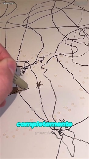 A Aranha Desenhista