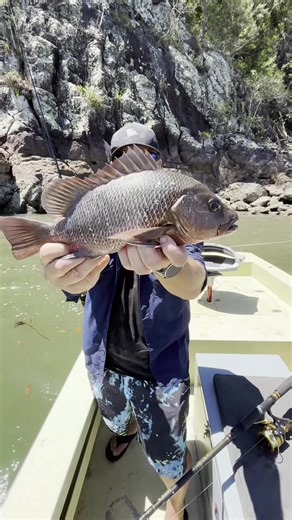 Catching the First Jack in Hinchinbrook Channel