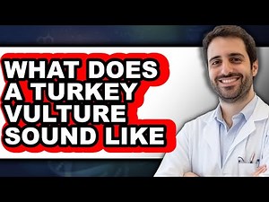 What Does a Turkey Vulture Sound Like - Explained