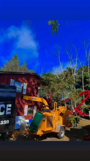 Tree cutting service and stump grinding. Proudly servicing all local areas surrounding Derry NH since “2016”. TIA! Derry NH snow plowing service is available. Website: ASCTreeServices.com | ASC Tree Service INC