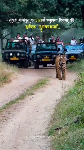 सवाईमाधोपुर स्थापना दिवस की हार्दिक शुभकामनाएं #263 #tigercity #trinetraganesh #chauthmata #chambal