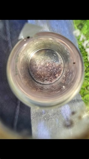 When a well tests positive for total coliform, one discovers another problem.