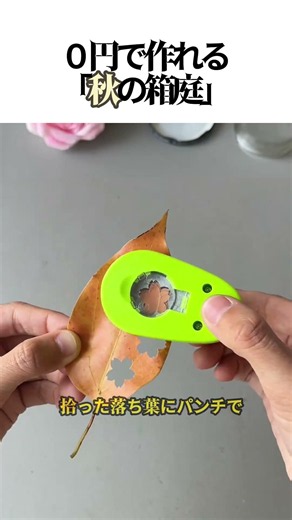 【超簡単DIY】空き瓶捨てるのは待って！０円で作れる「秋の箱庭」がエモすぎる🍁✨#DIY #ライフハック #秋 #落ち葉 #スノードーム #ハンドメイド #裏技 #簡単工作 #再利用 #エモい