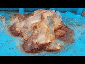 이건 차마 먹을 수 없었습니다..