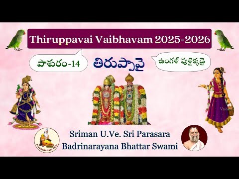 Thiruppavai Vaibhavam (2025-2026)-Pasuram-14 by Sriman U.Ve. Sri Parasara Badri Narayana Bhattar