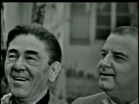 The Three Stooges interviewed at a family picnic