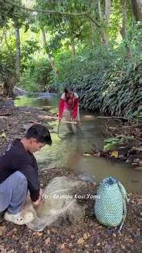 Jungle River Fishing: Net Catch & Wild Foraging 🎣