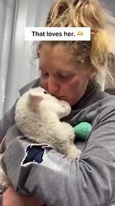 305K views · 20K reactions | Porsche is fortunate to be able to live with his family, who provide all the support and love he needs at Edgar's Mission   Edgar's Mission edited by Emmy for Animals #lamb #sheep #baby #handicapped #iloveanimals | Emmy for Animals | Facebook