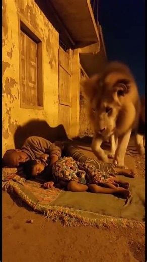 Amazing weapons of Animals #animal #shorts #shortsfeed