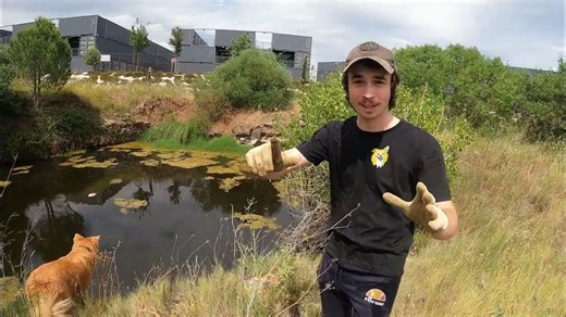 Un abonné nous a conseillé cet étang isolé pour pêcher à l'aimant