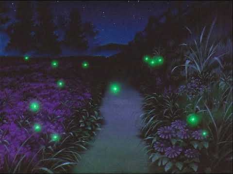 tame impala ~ new person, same old mistakes ﾉ slowed + reverb ﾉ