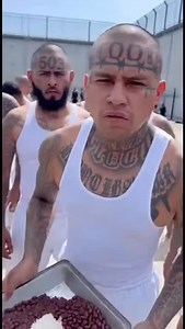 No more … 😢. 🤣 #prison #viral #food | Prison BARS