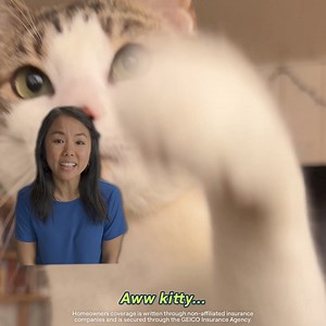 The cat's out of the bag: GEICO makes home insurance easy. | GEICO