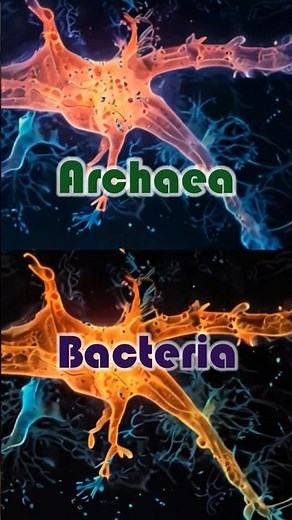 Archaea vs Bacteria #archaeology #bacteria #biodiversity