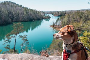 Hike the Raven Rock Loop [Trail Guide]
