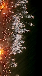 10K views · 285 reactions | No winter lasts forever; no spring skips its turn. —Hal Borland Reflections on a winter passed. We now cast our eyes to 2026.  Joseph Shrimpton (@flaretasmania)  Courtesy Joshua Serafin X Amant, soundtrack designed by Luis Miguel Ramirez Munoz, Calvin Carrier, Alex Zhang Hungtai | Dark Mofo | Facebook