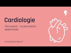 La percussion abdominale - Percussion en Cardiologie