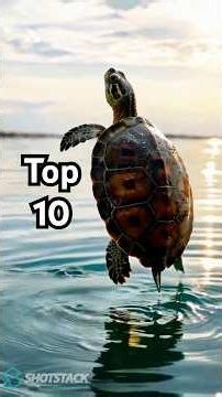 World's Top 10 Animals With Extreme Survival Skills