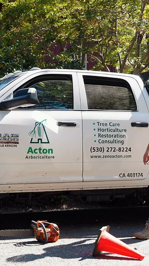 We’re not the tree service for everyone.  But if you value safety,...