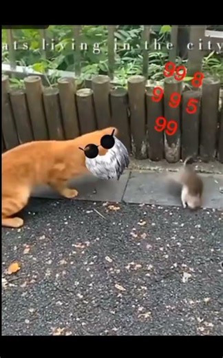 pvp o que manco asqueros*