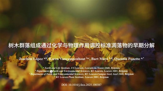 FE | 树木群落组成通过化学与物理作用调控标准凋落物的早期分解