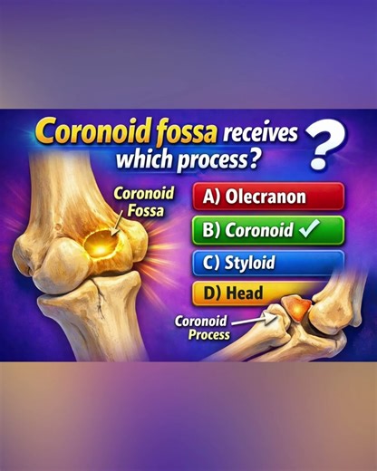 Coronoid Fossa Anatomy in 15 Seconds 🦴🔥#shorts #viral #trending #youtubeshorts #shortsviral