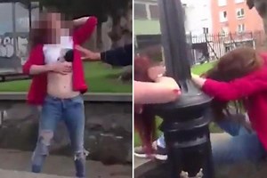 Shocking footage has emerged of two women tearing each other's hair out in a furious fight at a children's park while gormless bystanders egg them on and film it
