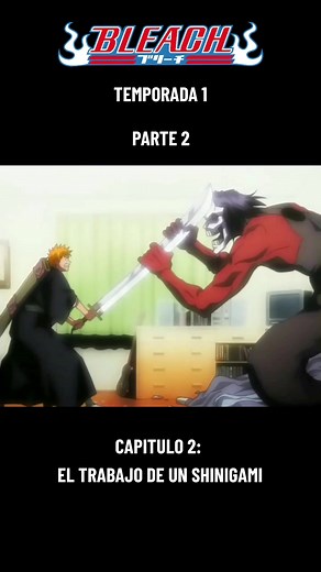 BLEACH Capítulo 2: El Trabajo de un Shinigami en Acción
