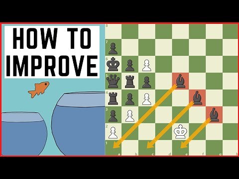 How to Improve at Chess (using Anki)