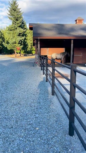 The High Sierra barn is designed with a generous footprint and flexible layout, giving both horses and owners space to move, work, and relax. From wide breezeways to thoughtful stall design, every detail is built with equestrian life in mind. Give us a call to start planning today 866.844.2276 | Barn Pros