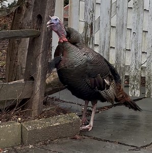 204K views · 3.9K reactions | When you accidentally discover your...