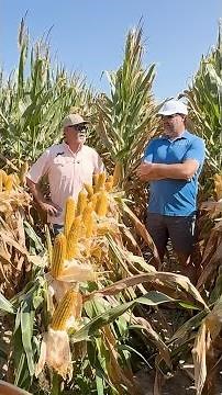 Matt Miles on Pivot Bio ROI