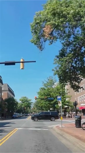 Drive down King Street in historic downtown Alexandria, VA #shorts