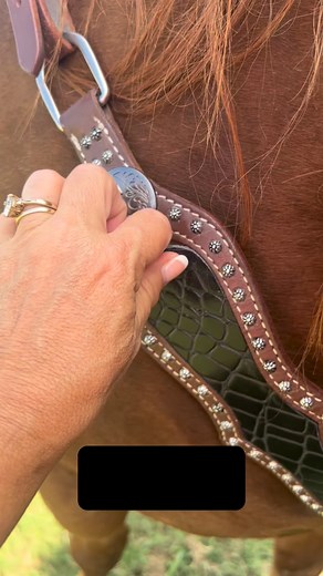 1.6K views · 3.4K reactions | The problem: wanting tack in every color The solution: SmarTack  You’re welcome  | Rockstar Reins | Facebook