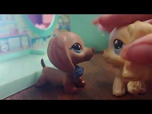 Lps Abuse Story
