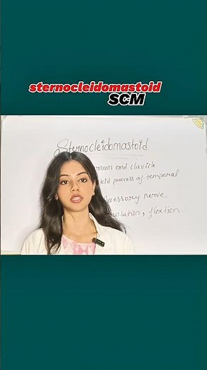 Sternocleidomastoid Muscle in 30 Seconds