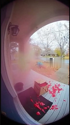 Smokin’! Chubby Porch Pirate Girls gets Karma Fail for Stealing! Funny Bait Box Prank!