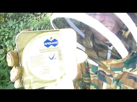 Varroa treatment using apiguard
