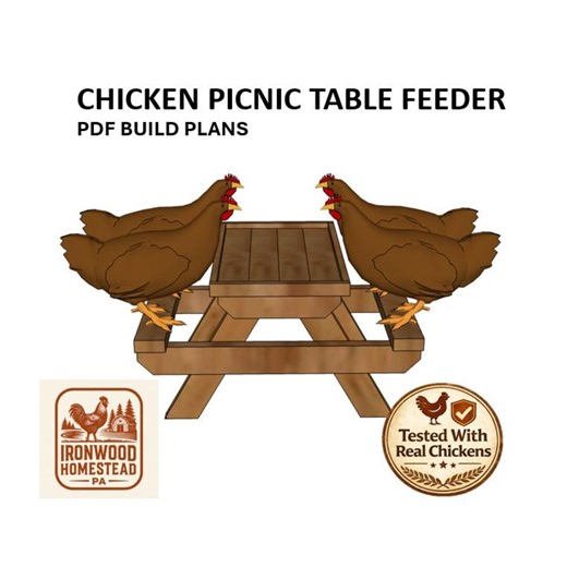 Chicken Picnic Table Feeder Plans PDF | Build Video - Etsy