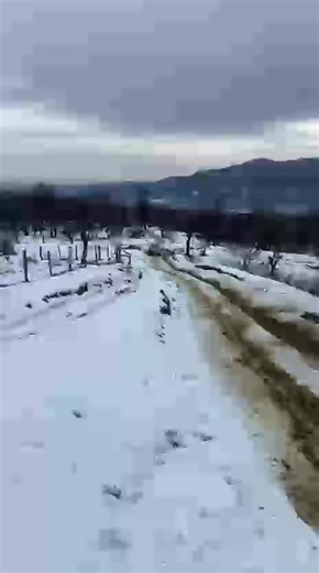 Videoclipuri postate de Georgian Serb (@georgianserb) cu sunet original - Nicoleta Ceaunica Music