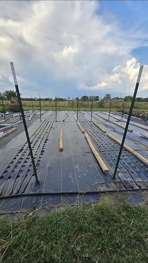 We plant cold hardy flowers in the fall so they will bloom sooner (and stronger) in the spring. In the ground thusfar, over 600 Snapdragons, 200 Bells of Ireland, and 400 Campanula. Still to come: Poppies, Nigella, and Larkspur. | Ironspring Orchard